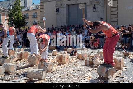 Männer hacken Protokolle in einem Wettbewerb in La Granja de San Ildefonso, Spanien 21. August 2016 - Copyright fotografieren John Voos Stockfoto