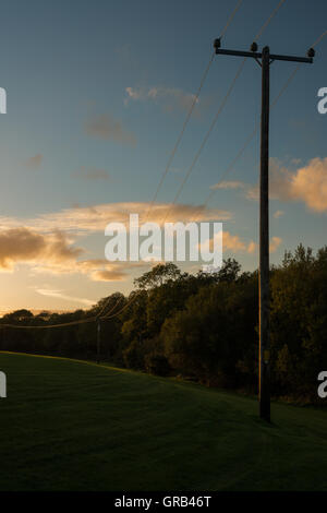 Holz- power line Pole und elektrischen Freileitungen bei Sonnenuntergang Stockfoto