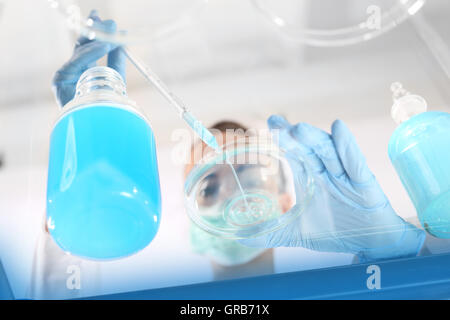 Biotechnologe untersuchen die pflanzlichen Proben im Labor Stockfoto