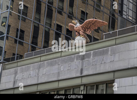 Eine Skulptur von einem Weißkopfseeadler am Grand Central Terminal in New York City. Stockfoto