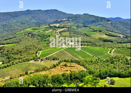 Landschaft der toskanischen Weinbergen in der Nähe von Radda In Chianti, Toskana, Italien Stockfoto