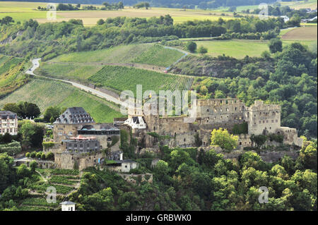 Burg Rheinfels oberhalb der Stadt Sankt Goar und Umgebung terrassierten Weinberge, Oberes Mittelrheintal, Deutschland Stockfoto