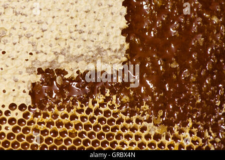 Wabenzellen gekappt und verschlossen, Honig fließen Stockfoto