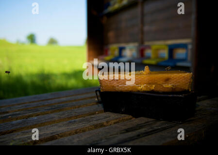 Waben In den Vordergrund, Bienenstock und Wiesen im Hintergrund Stockfoto