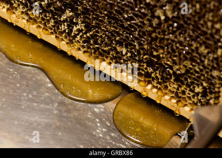 Honig tropft aus Waben, Honeydrops auf Metall Stockfoto