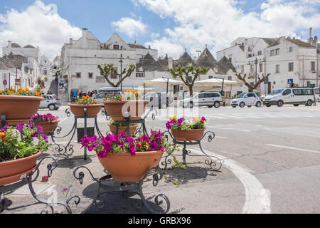 Blumentöpfe In den Vordergrund, alten Teil der Stadt, Trulli, im Hintergrund. Blauer Himmel, weiße Wolken. Largo Martellotta, Alberobello, Provinz Bari, Apulien, Italien Stockfoto