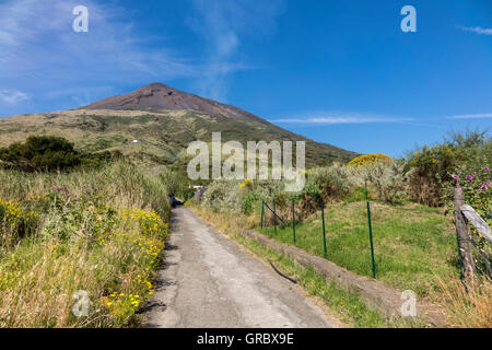 Feldweg durch Wiesen, im Hintergrund Vulkan Stromboli, Äolischen Inseln, Italien Stockfoto