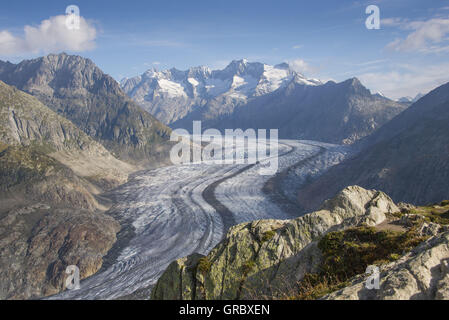 Großen Aletschgletscher im Sommer rockt In den Vordergrund, Berge, blauer Himmel und weiße Wolken im Hintergrund Stockfoto