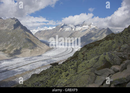 Großen Aletschgletscher im Sommer rockt In den Vordergrund, Berge, blauer Himmel und weiße Wolken im Hintergrund Stockfoto