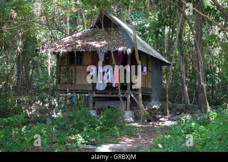 Indonesische traditionelle Stil umgeben von üppiger tropischer Vegetation, Selayar, Süd-Sulawesi, Indonesien Stockfoto