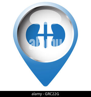 Karte-Pin-Symbol mit Nieren-Symbol. Blaue Raute auf weißem Hintergrund. Stockfoto