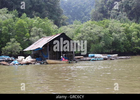 River rafting/Kanu entlang des Flusses in der Khao Sok Nationalpark Natur reservieren in Phuket, Thailand Stockfoto