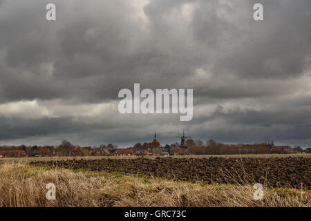 Stare In den Schwarm über ein Dorf In Ostfriesland Stockfoto