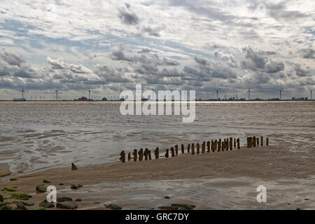 Buhne In Watt Stockfoto