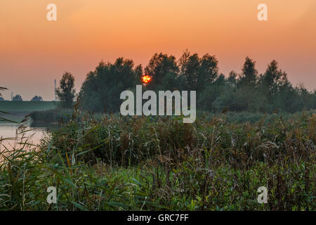 Sonnenuntergang am Biotop Stockfoto