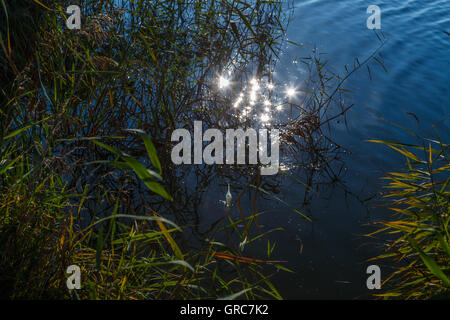 Leichte Geister im See Stockfoto