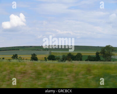 Weinbau-Bezirk Rhinehesse im Sommer, Deutschland Stockfoto