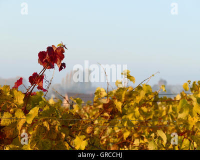 Mischung aus Farbe und Symbol für ragen aus den anderen Stockfoto