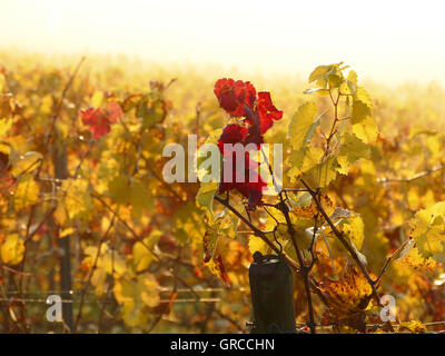 Mischung aus Farbe und Symbol für ragen aus den anderen Stockfoto