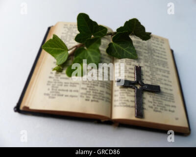 Die Bibel und Kreuz und Ivy Zweig Stockfoto