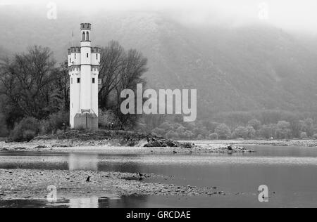 Mäuse-Turm in der Nähe von Bingen auf einer kleinen Insel im Rhein, vom 13. Jahrhundert an den niedrigen Gezeiten im November 2011 Stockfoto