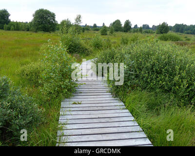 Sicheren Weg durch das Moor, hohe Moor In der Grenze Bereich Deutschland Belgien Stockfoto