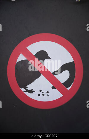 Nicht füttern die Tauben am Trafalgar Square in central London zu unterzeichnen. UK-England Stockfoto