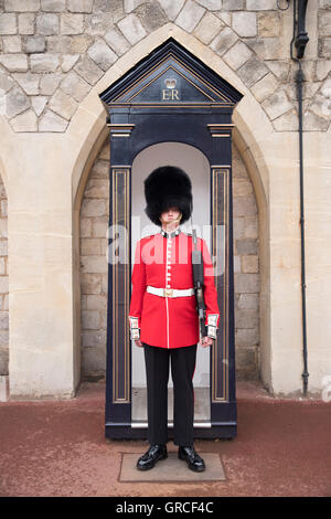 Coldstream Guards Soldat auf Pflicht in Windsor Castle, königliche Residenz in Windsor, Berkshire, England, UK Stockfoto