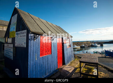 Rote und blaue Hütte im kleinen Fischerdorf Dorf von St. Abbs, Berwickshire schottischen Grenzen UK Stockfoto