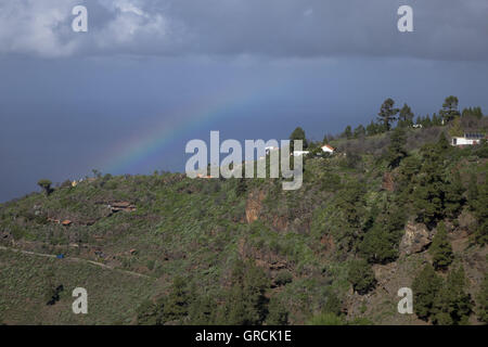 Regenbogen über Bergrücken mit Pinien und Dragos im Nordwesten von La Palma. Im Hintergrund der Atlantik und Hevy Regenwolken. Kanarischen Inseln. Stockfoto