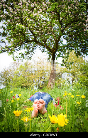 Genießen Sie den Frühling Stockfoto