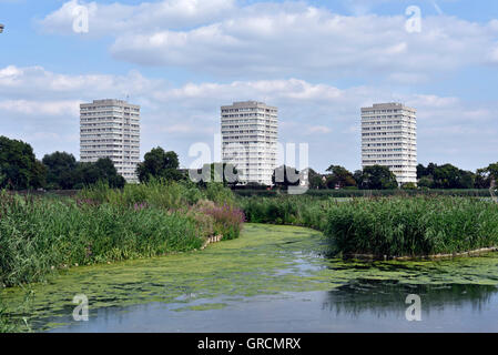Hochhäuser, Woodberry Feuchtgebiete Stoke Newington, London Borough of Hackney England Großbritannien UK Stockfoto