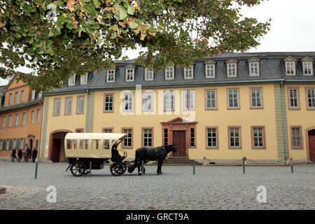 Horse Drawn Carriag warten auf Kunden vor Goethe S ehemalige Haus In Weimar Stockfoto