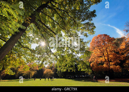 Herbstfarben am Park englischen Garten In München Stockfoto