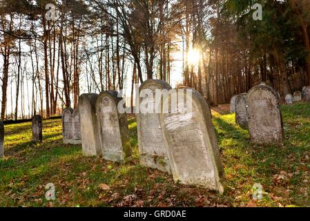 Jüdische Grabsteine auf dem historischen jüdischen Friedhof im Wald In Kobersdorfer Stockfoto