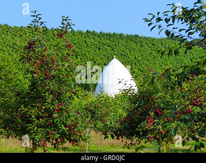 Trullo in der Nähe von Uffhofen, Flonheimer In Rhinehesse, Rheinland Pfalz, Deutschland, Europa Stockfoto