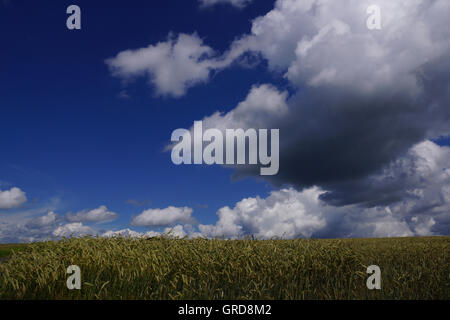 Landschaft In der Eifel, Rheinland Pfalz, Deutschland Stockfoto