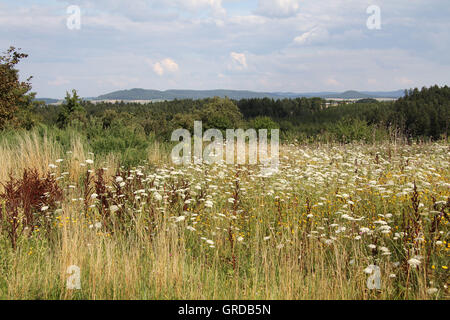 Landschaft In Oberfranken, in der Nähe von Watzendorf im Landkreis Coburg Stockfoto