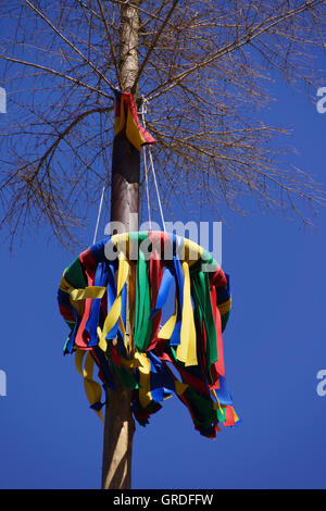 Maibaum mit farbigen Bändern Stockfoto