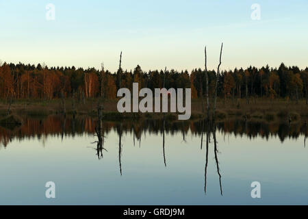 Schwenninger Moos am Abend, Ursprung des Neckars Stockfoto