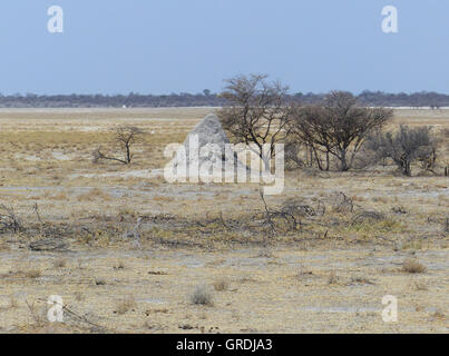 Termite Mound In Etosha-Pfanne Stockfoto