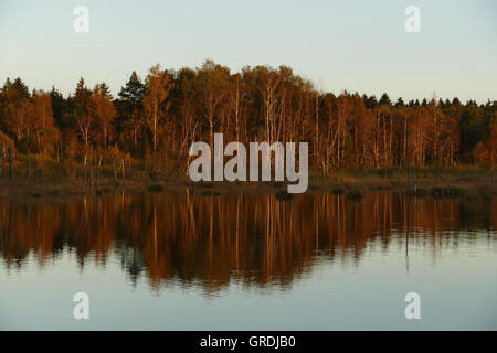 Schwenninger Moos am Abend, Ursprung des Neckars Stockfoto