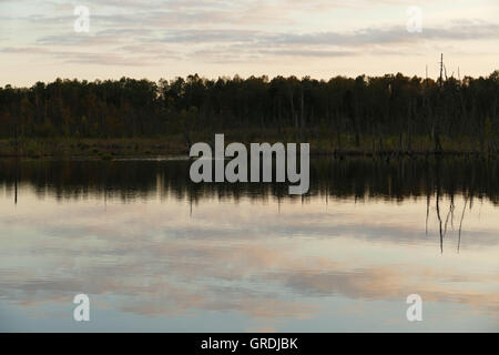 Schwenninger Moos am Abend, Ursprung des Neckars Stockfoto