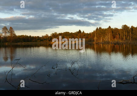 Schwenninger Moos am Abend, Ursprung des Neckars Stockfoto