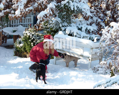 Mädchen In Santa Kostüm mit ihren beiden Hunden im Schnee spielen Stockfoto