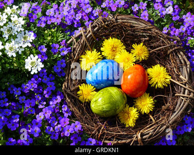 Osternest mit drei farbigen Ostereier In blühenden Veilchen Zierpflanzen Stockfoto