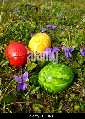 Ostern, farbige Ostereier auf der Wiese neben süße Veilchen Stockfoto