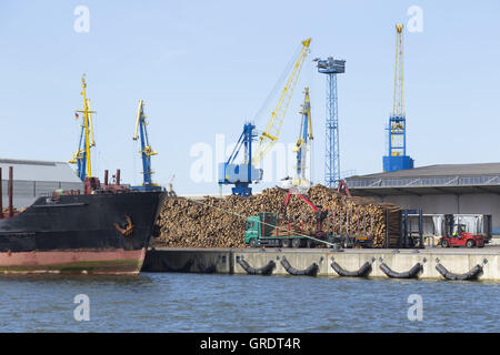 Bug eines Frachters, die aus dem Holz entladen wird Stockfoto