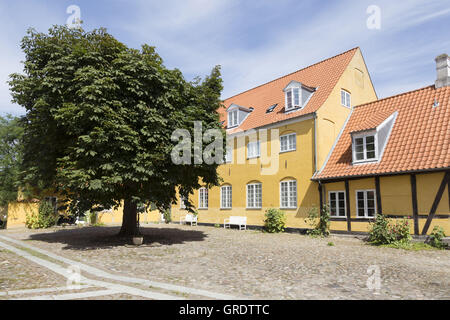 Gelbe Haus In Stege auf der Insel Moen Stockfoto