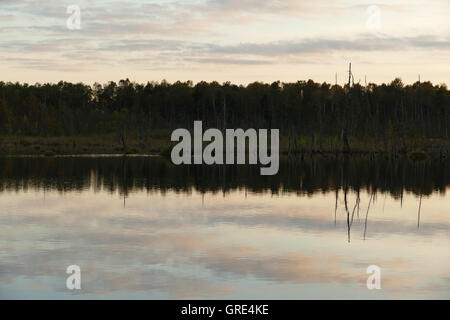 Schwenninger Moos am Abend, Ursprung des Neckars Stockfoto